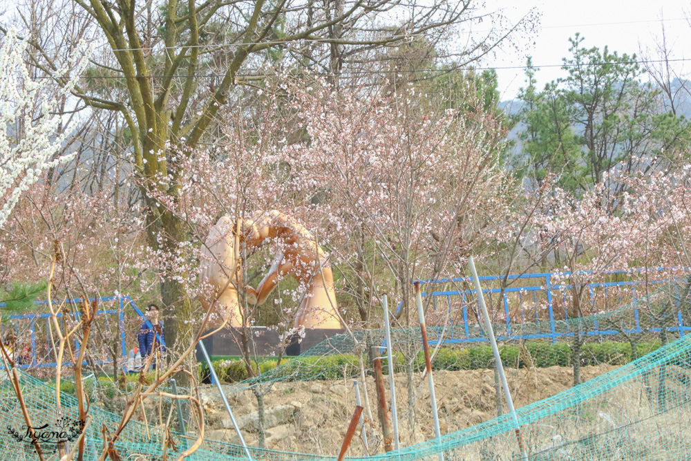 大邱景點。馬飛亭壁畫村：保留舊農村風光的壁畫村，洛東江路線一日遊行程 @緹雅瑪 美食旅遊趣