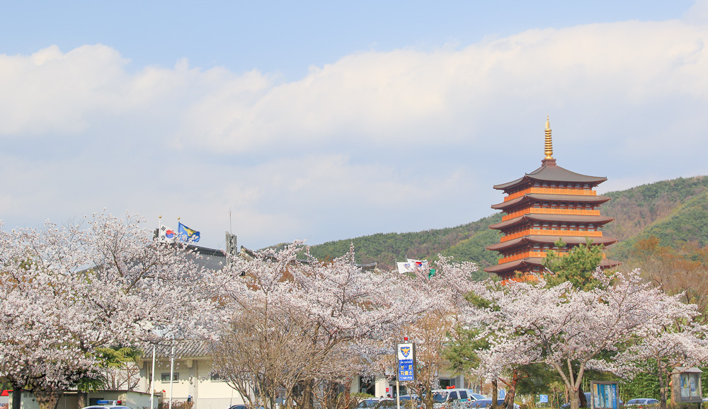 韓國慶州景點|慶州塔。九層塔皇龍院:慶州世界文化EXPO公園、 自然歷史博物館 @緹雅瑪 美食旅遊趣