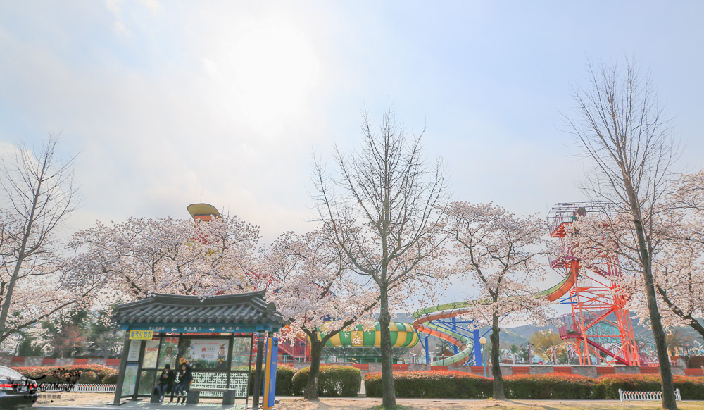 韓國慶州景點｜慶州塔。九層塔皇龍院：慶州世界文化EXPO公園、 自然歷史博物館 @緹雅瑪 美食旅遊趣