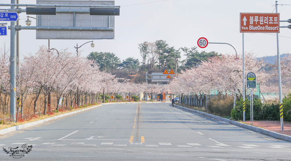 韓國慶州景點｜慶州塔。九層塔皇龍院：慶州世界文化EXPO公園、 自然歷史博物館 @緹雅瑪 美食旅遊趣