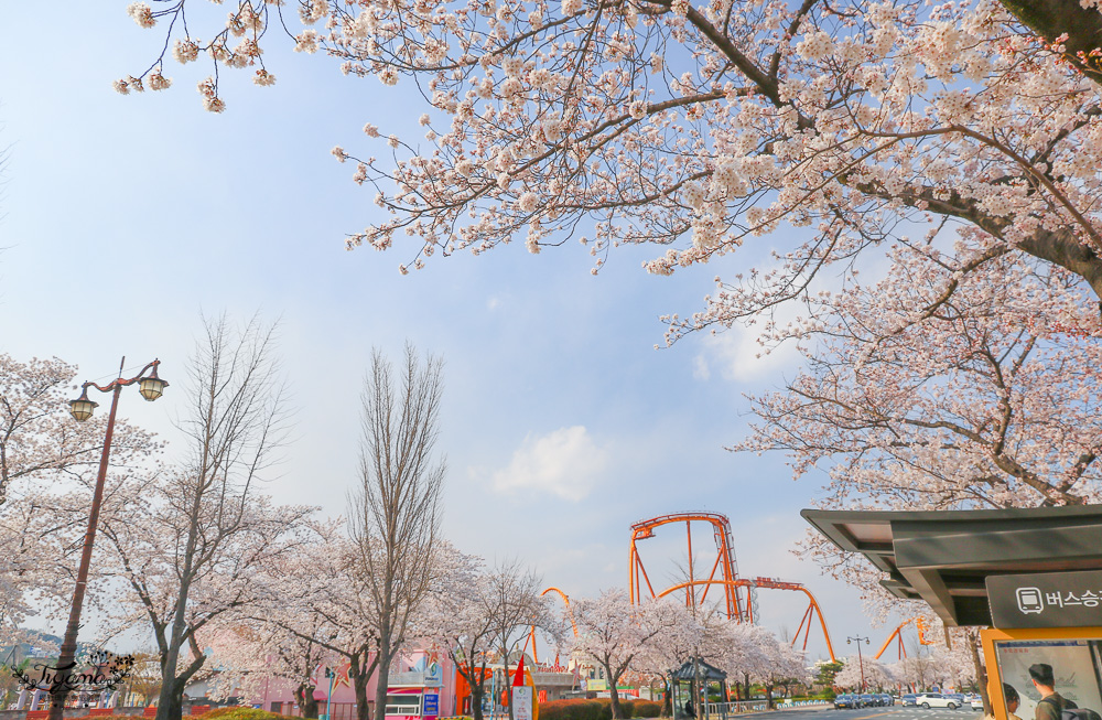 韓國慶州景點｜慶州塔。九層塔皇龍院：慶州世界文化EXPO公園、 自然歷史博物館 @緹雅瑪 美食旅遊趣