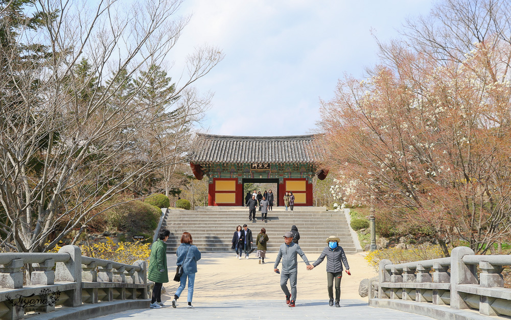 韓國慶州一日遊。慶州賞櫻之旅:佛國寺、慶州塔、城東市場、家豆腐料理 @緹雅瑪 美食旅遊趣