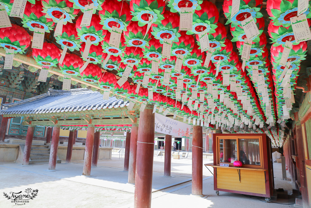 韓國慶州一日遊。慶州賞櫻之旅：佛國寺、慶州塔、城東市場、家豆腐料理 @緹雅瑪 美食旅遊趣