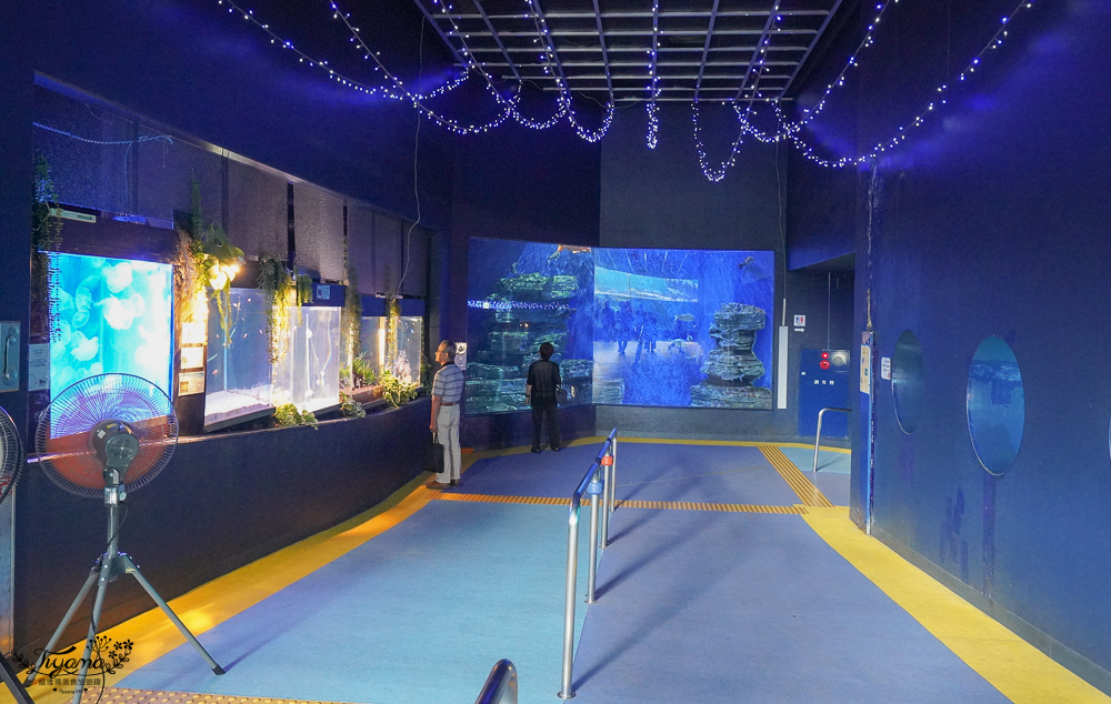 2024箱根景點｜箱根園水族館：日本最高的水族館，必看海豹表演秀！ @緹雅瑪 美食旅遊趣