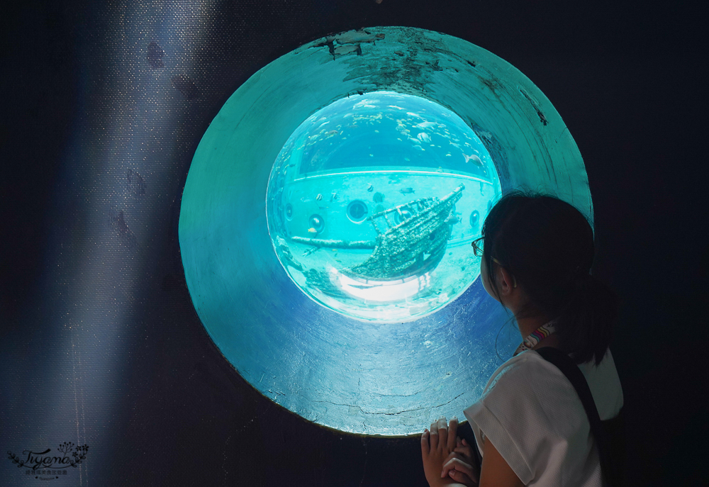 2024箱根景點｜箱根園水族館：日本最高的水族館，必看海豹表演秀！ @緹雅瑪 美食旅遊趣