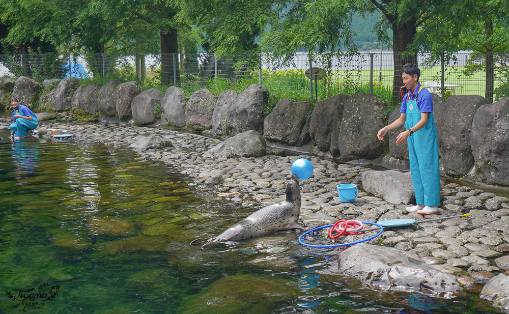 2024箱根景點｜箱根園水族館：日本最高的水族館，必看海豹表演秀！ @緹雅瑪 美食旅遊趣