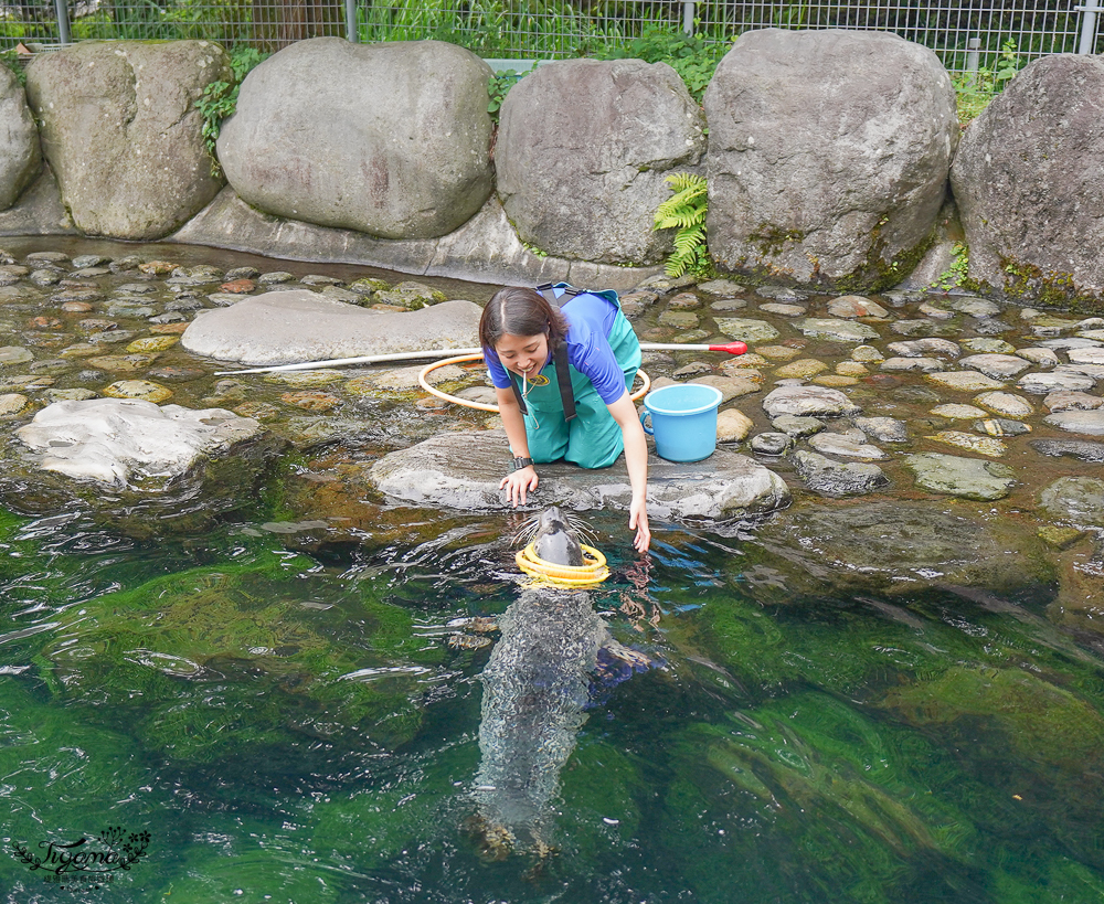 2024箱根景點｜箱根園水族館：日本最高的水族館，必看海豹表演秀！ @緹雅瑪 美食旅遊趣