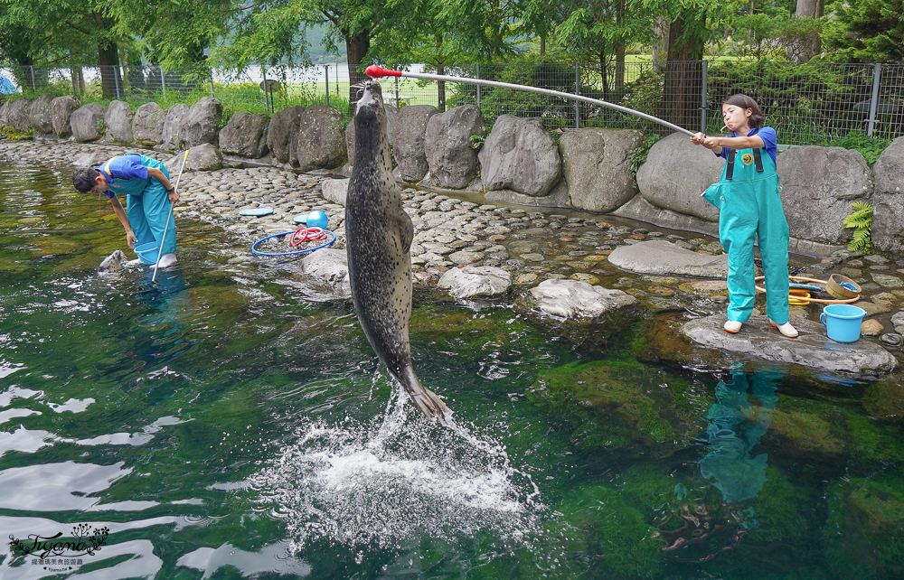 2024箱根景點｜箱根園水族館：日本最高的水族館，必看海豹表演秀！ @緹雅瑪 美食旅遊趣