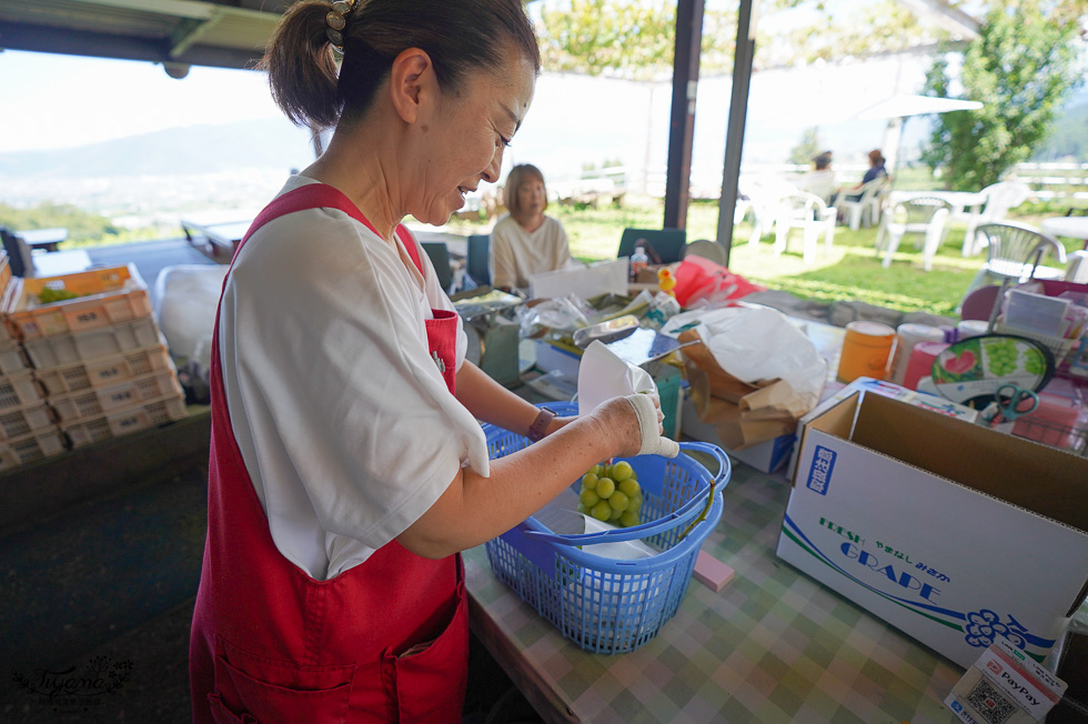 日本採麝香葡萄｜大一観光園：入園無料還免費請你吃晴王麝香葡萄，採水果產地價稱斤算比水果吃到飽便宜 @緹雅瑪 美食旅遊趣