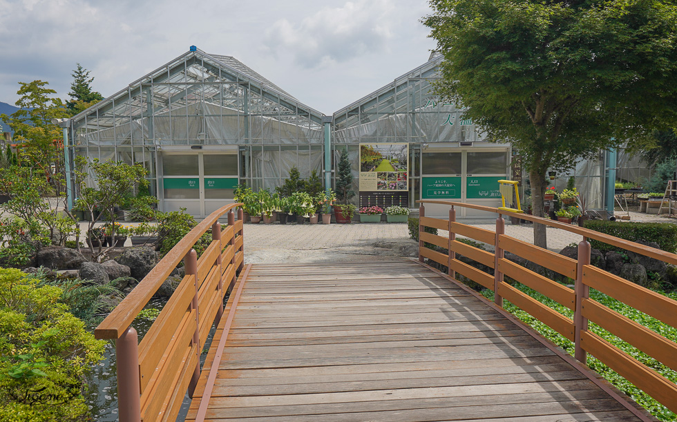 富士河口湖庭園｜ハーブ庭園 旅日記｜光和雲展望台：無料花園＆香草溫室，富士山甲板光和雲展望台 @緹雅瑪 美食旅遊趣