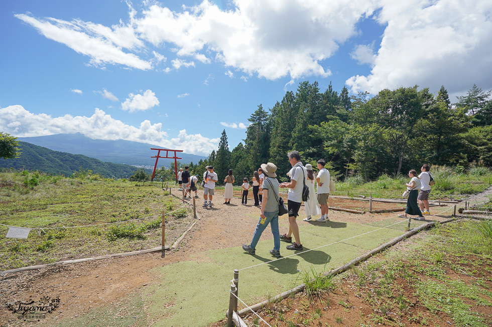 富士山河口湖一日遊！！採麝香葡萄到天空鳥居，大石公園網美餐廳，逛超市吃人氣平價燒肉，住富士山景觀溫泉飯店 @緹雅瑪 美食旅遊趣