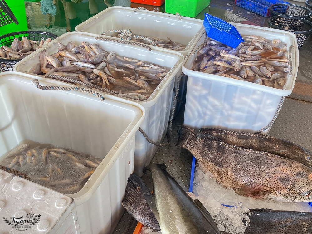 嘉義景點。東石觀光魚市：零售買魚市場買海鮮好去處，旁邊就有代料理餐廳 @緹雅瑪 美食旅遊趣