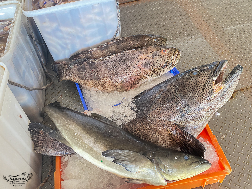 嘉義景點。東石觀光魚市：零售買魚市場買海鮮好去處，旁邊就有代料理餐廳 @緹雅瑪 美食旅遊趣