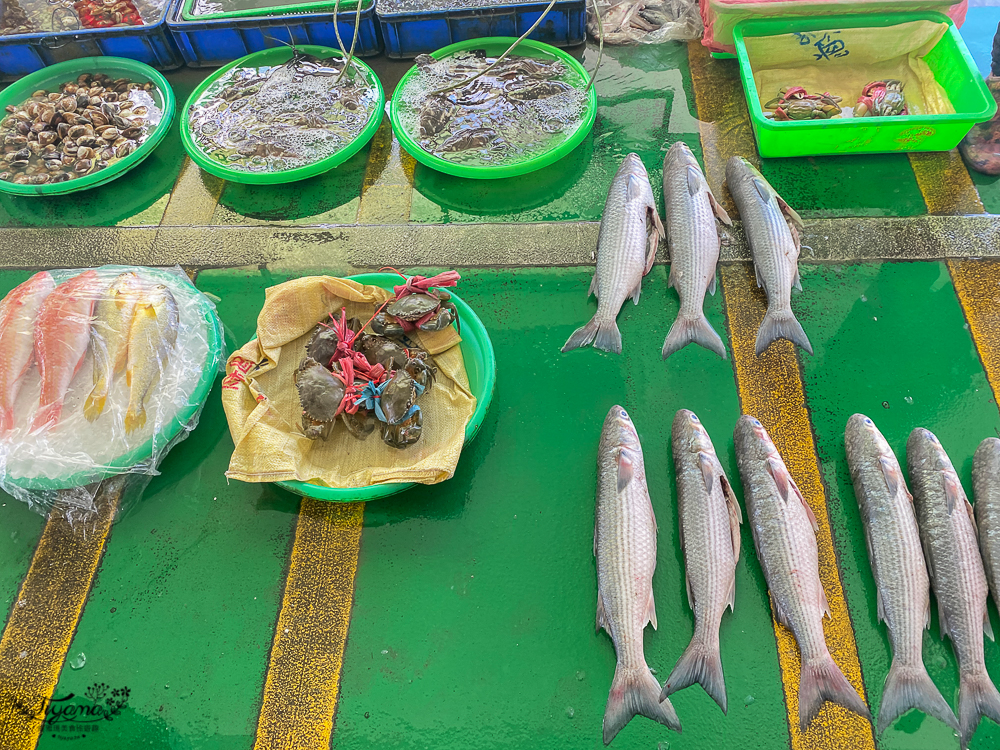 嘉義景點。東石觀光魚市：零售買魚市場買海鮮好去處，旁邊就有代料理餐廳 @緹雅瑪 美食旅遊趣