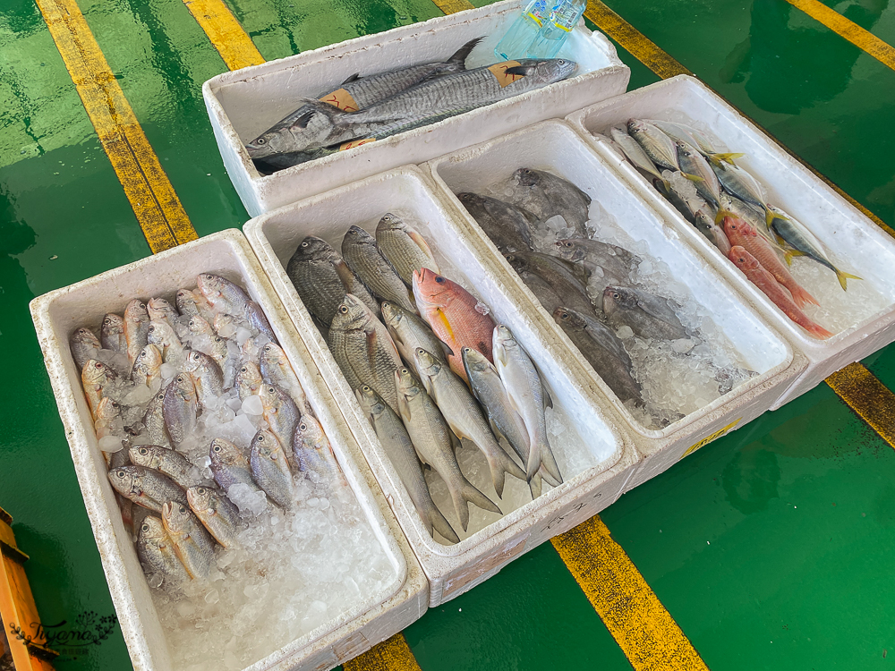 嘉義景點。東石觀光魚市：零售買魚市場買海鮮好去處，旁邊就有代料理餐廳 @緹雅瑪 美食旅遊趣