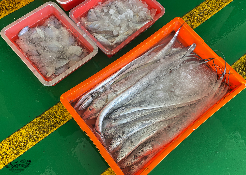 嘉義景點。東石觀光魚市：零售買魚市場買海鮮好去處，旁邊就有代料理餐廳 @緹雅瑪 美食旅遊趣