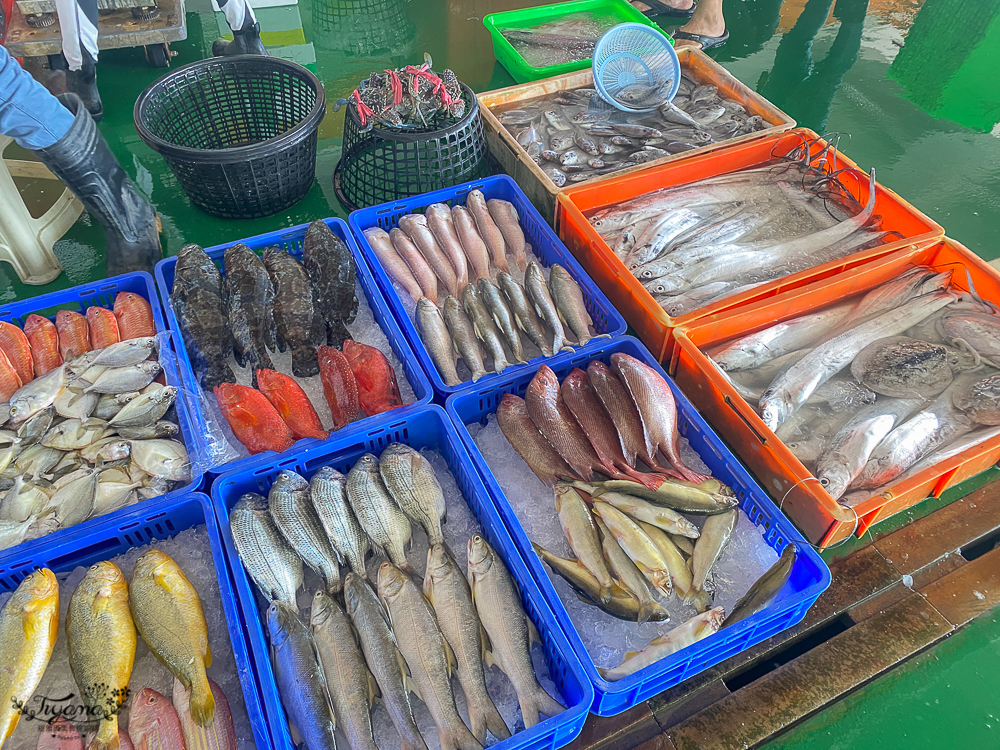 嘉義景點。東石觀光魚市：零售買魚市場買海鮮好去處，旁邊就有代料理餐廳 @緹雅瑪 美食旅遊趣