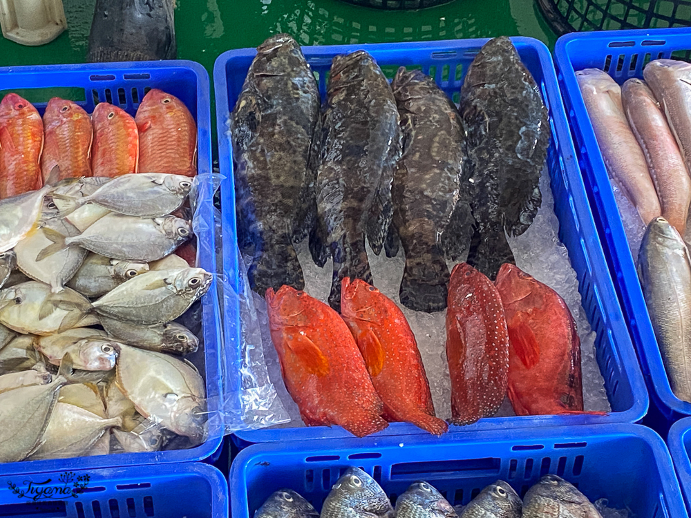 嘉義東石外傘頂洲一日遊，出海到消失的國土船上吃午餐，濕地賞鳥，玩海洋系公園 @緹雅瑪 美食旅遊趣