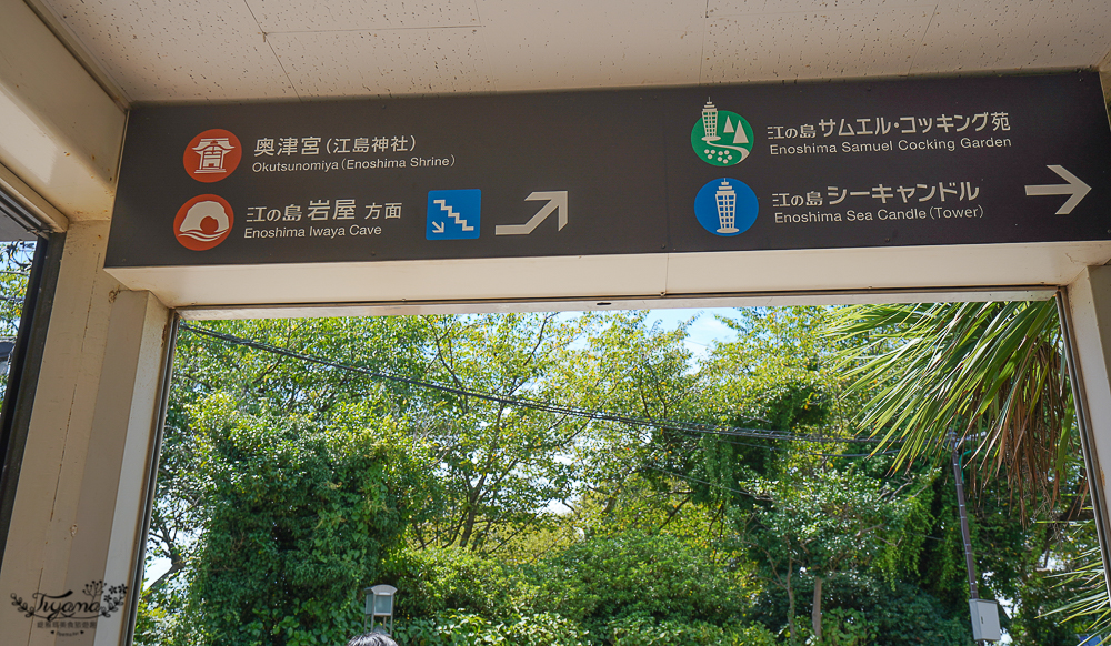 日本鎌倉｜江之島瞭望臺燈塔｜江之島神社：搭自助扶梯到財神神社洗錢，登江之島海蠟燭吃金目鯛魚料理 @緹雅瑪 美食旅遊趣