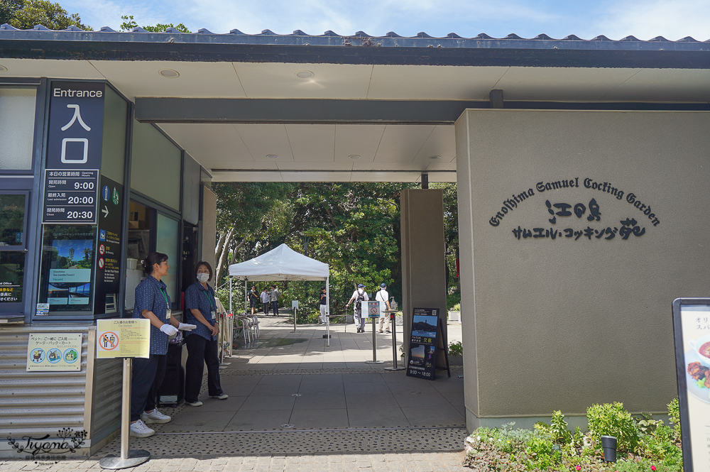 日本鎌倉｜江之島瞭望臺燈塔｜江之島神社：搭自助扶梯到財神神社洗錢，登江之島海蠟燭吃金目鯛魚料理 @緹雅瑪 美食旅遊趣