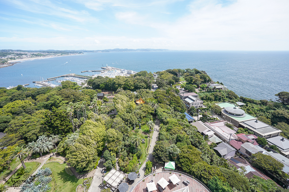 日本鎌倉｜江之島瞭望臺燈塔｜江之島神社：搭自助扶梯到財神神社洗錢，登江之島海蠟燭吃金目鯛魚料理 @緹雅瑪 美食旅遊趣