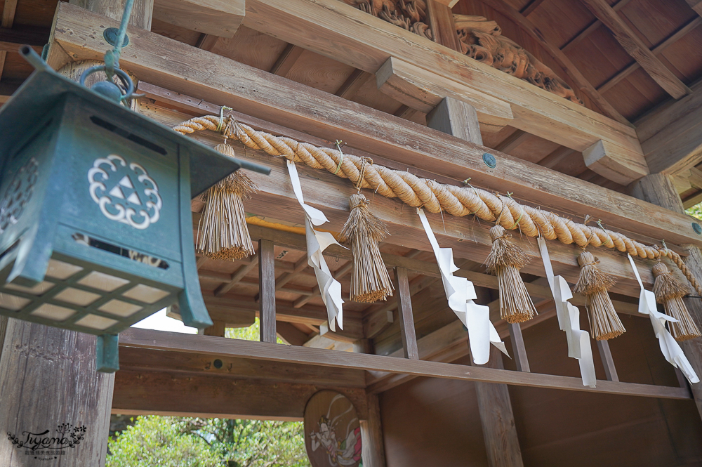 日本鎌倉｜江之島瞭望臺燈塔｜江之島神社：搭自助扶梯到財神神社洗錢，登江之島海蠟燭吃金目鯛魚料理 @緹雅瑪 美食旅遊趣