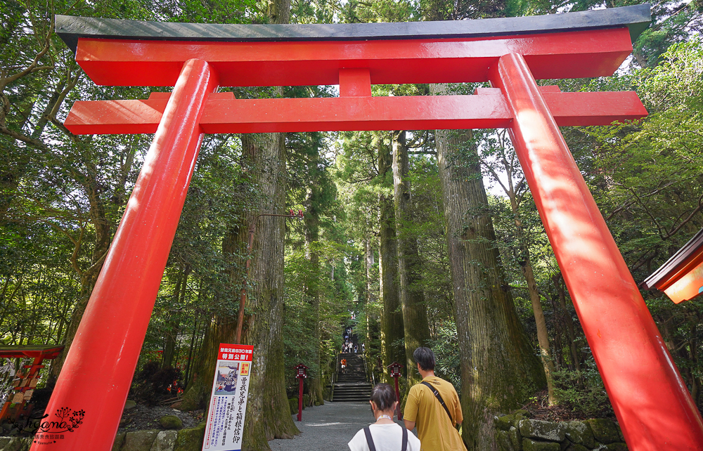 箱根景點｜箱根神社 平和の鳥居｜九頭龍神社：拍出絕美湖中大鳥居照，參拜箱根大神抽七福神籤 @緹雅瑪 美食旅遊趣