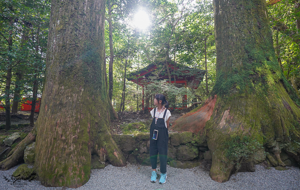 箱根景點｜箱根神社 平和の鳥居｜九頭龍神社：拍出絕美湖中大鳥居照，參拜箱根大神抽七福神籤 @緹雅瑪 美食旅遊趣