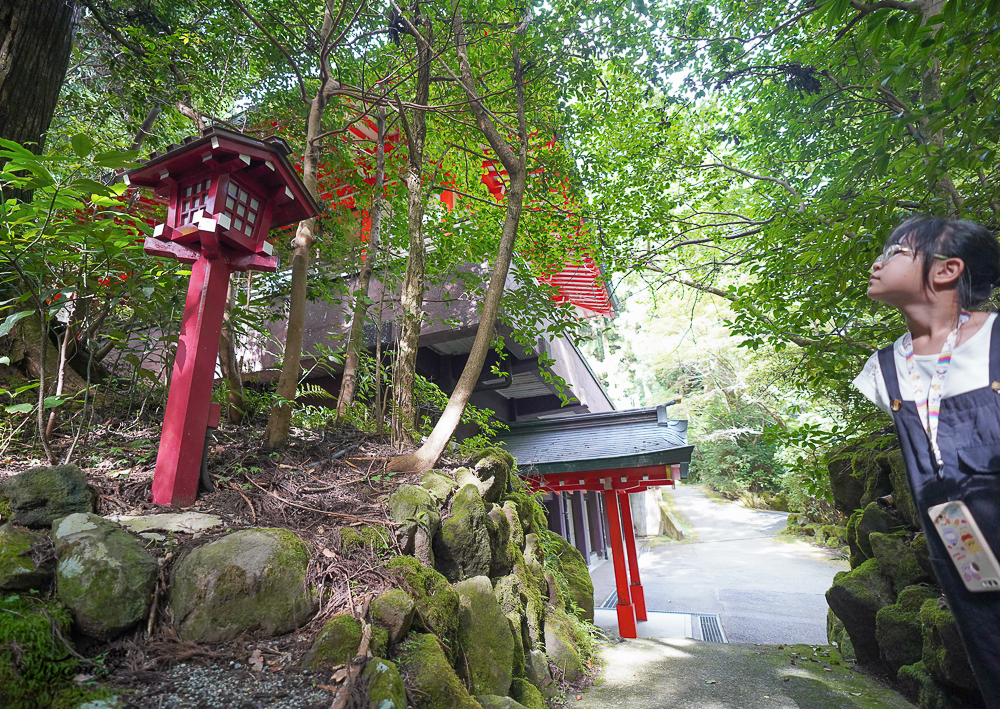 箱根景點｜箱根神社 平和の鳥居｜九頭龍神社：拍出絕美湖中大鳥居照，參拜箱根大神抽七福神籤 @緹雅瑪 美食旅遊趣