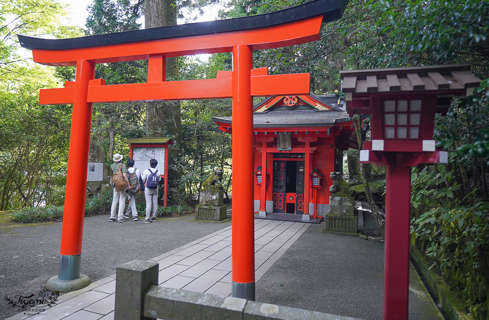 箱根景點｜箱根神社 平和の鳥居｜九頭龍神社：拍出絕美湖中大鳥居照，參拜箱根大神抽七福神籤 @緹雅瑪 美食旅遊趣