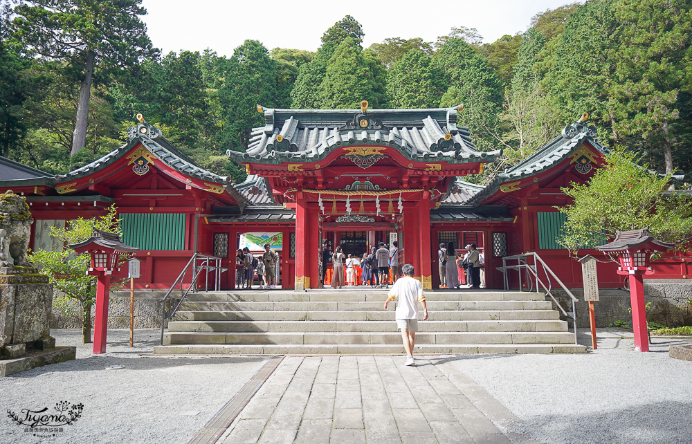 箱根景點｜箱根神社 平和の鳥居｜九頭龍神社：拍出絕美湖中大鳥居照，參拜箱根大神抽七福神籤 @緹雅瑪 美食旅遊趣