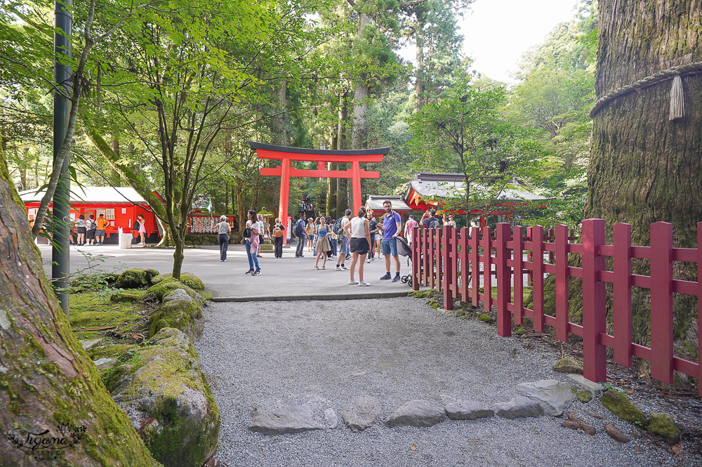 箱根景點｜箱根神社 平和の鳥居｜九頭龍神社：拍出絕美湖中大鳥居照，參拜箱根大神抽七福神籤 @緹雅瑪 美食旅遊趣