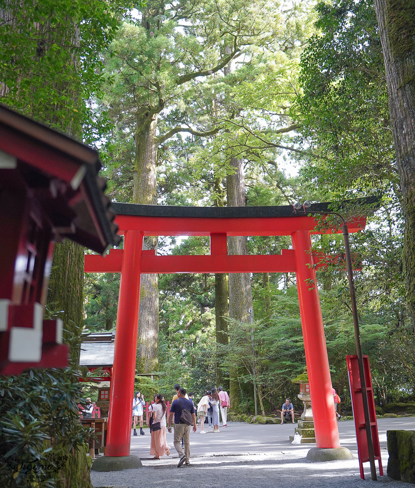 箱根景點｜箱根神社 平和の鳥居｜九頭龍神社：拍出絕美湖中大鳥居照，參拜箱根大神抽七福神籤 @緹雅瑪 美食旅遊趣