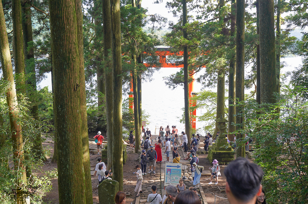 箱根景點｜箱根神社 平和の鳥居｜九頭龍神社：拍出絕美湖中大鳥居照，參拜箱根大神抽七福神籤 @緹雅瑪 美食旅遊趣