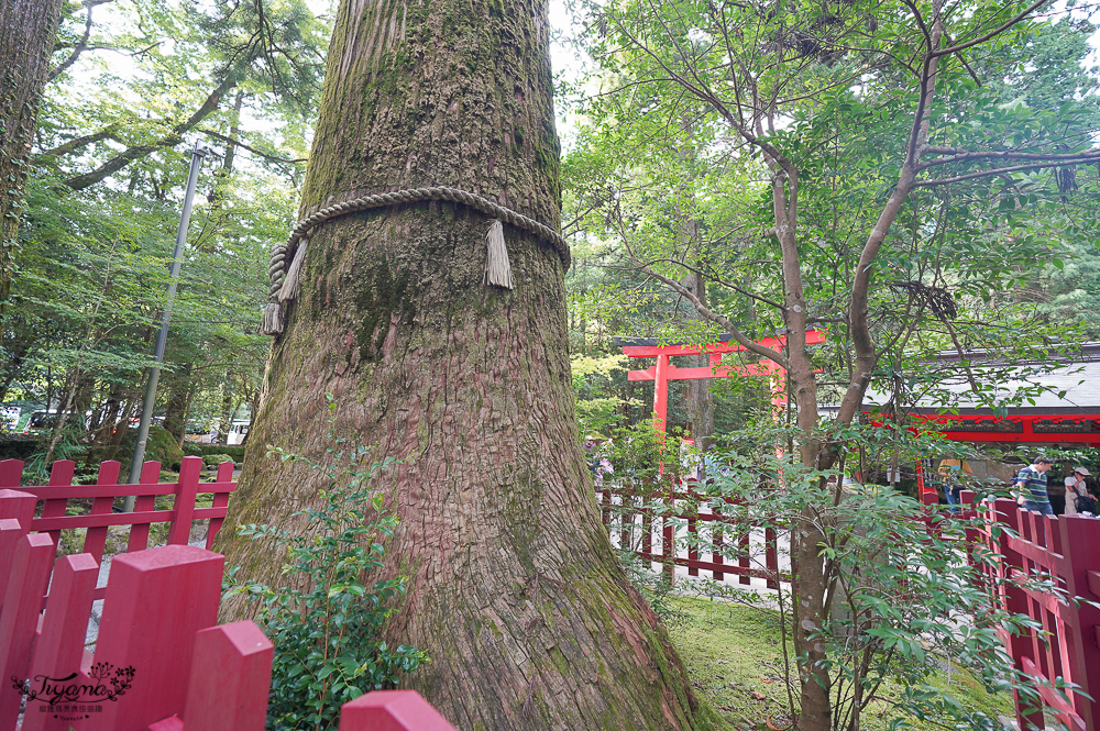 箱根景點｜箱根神社 平和の鳥居｜九頭龍神社：拍出絕美湖中大鳥居照，參拜箱根大神抽七福神籤 @緹雅瑪 美食旅遊趣