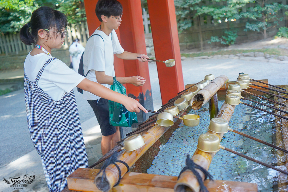 日本鎌倉 鶴岡八幡宮，鎌倉米其林景點，自祓所淨化身心 @緹雅瑪 美食旅遊趣