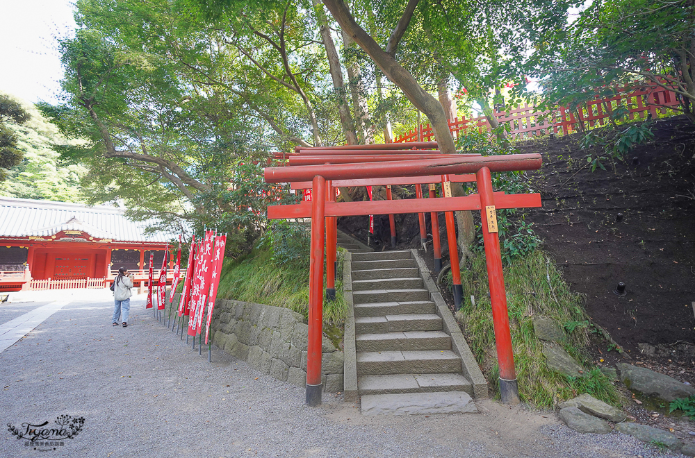 日本鎌倉 鶴岡八幡宮，鎌倉米其林景點，自祓所淨化身心 @緹雅瑪 美食旅遊趣