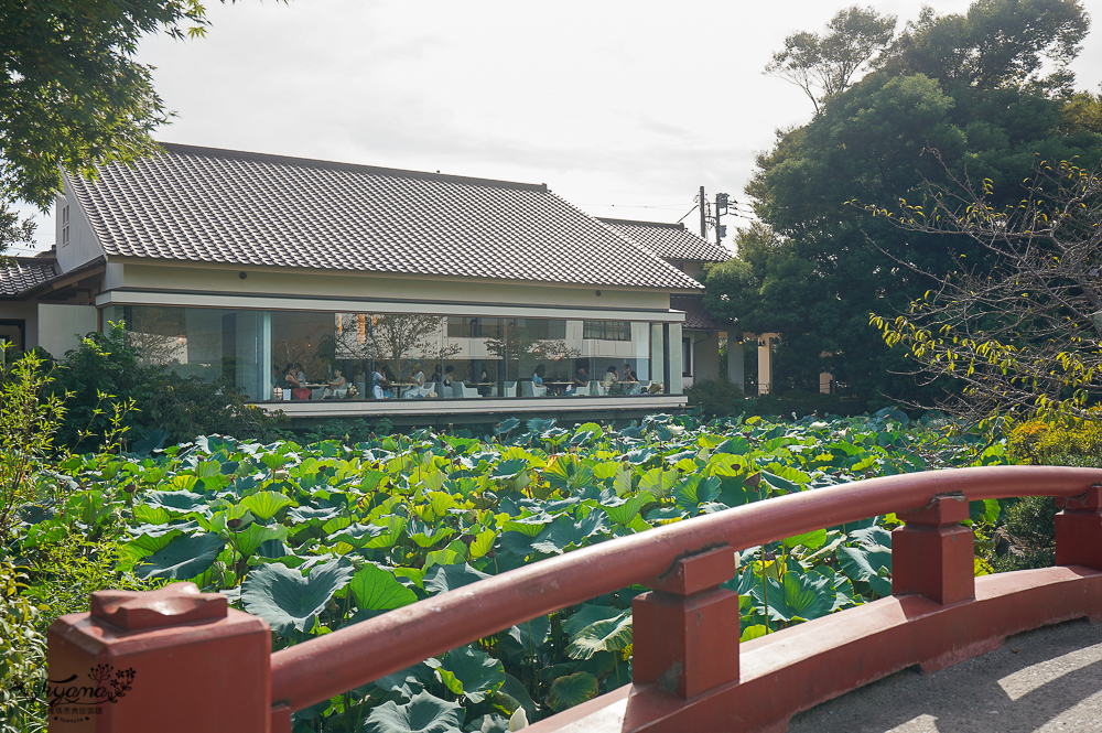 日本鎌倉 鶴岡八幡宮，鎌倉米其林景點，自祓所淨化身心 @緹雅瑪 美食旅遊趣