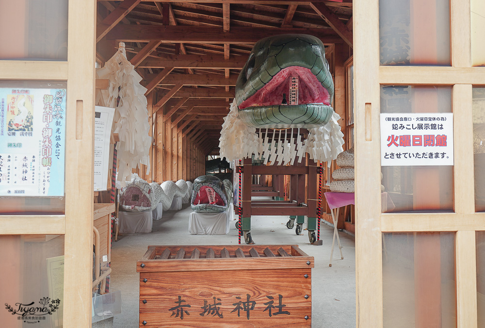 群馬老神溫泉「老神溫泉大蛇展示館」，世界第一最長的祭典用蛇 @緹雅瑪 美食旅遊趣