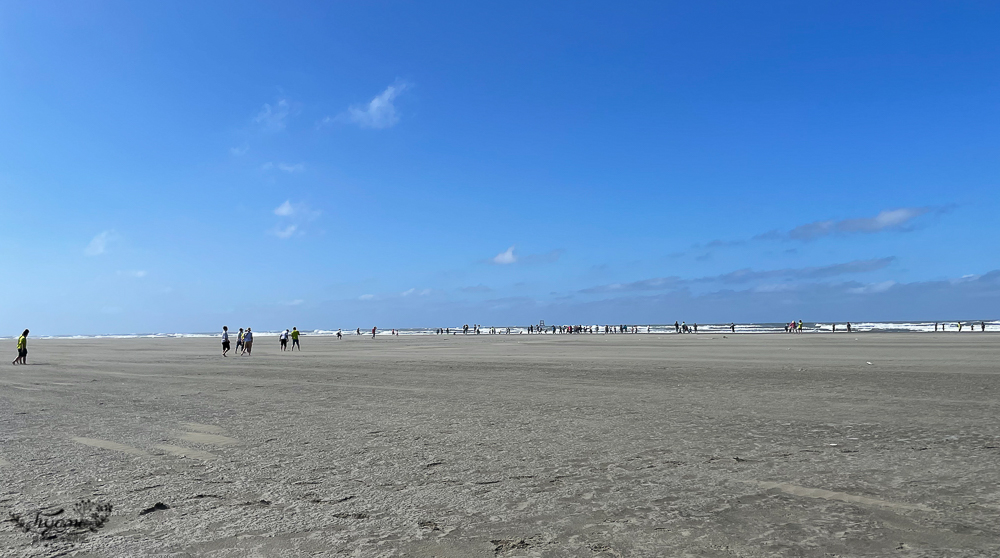 嘉義東石外傘頂洲一日遊，出海到消失的國土船上吃午餐，濕地賞鳥，玩海洋系公園 @緹雅瑪 美食旅遊趣