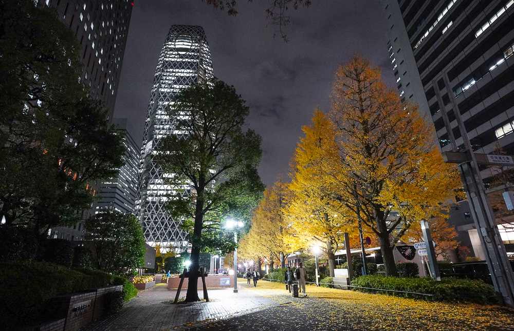 新宿住宿｜東急STAY新宿東區，近東新宿站、超市，有洗衣機小廚房，小酌主題房｜花園套房 @緹雅瑪 美食旅遊趣