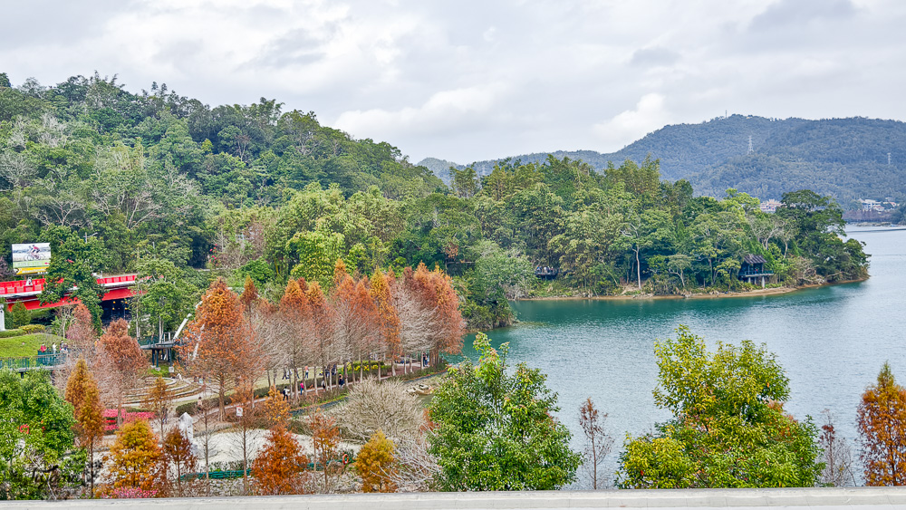 南投日月潭景點。向山落羽松｜向山懸臂式觀景台，日月潭自行車遊湖之旅 @緹雅瑪 美食旅遊趣