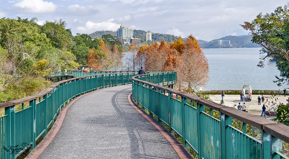 南投日月潭景點。向山落羽松｜向山懸臂式觀景台，日月潭自行車遊湖之旅 @緹雅瑪 美食旅遊趣