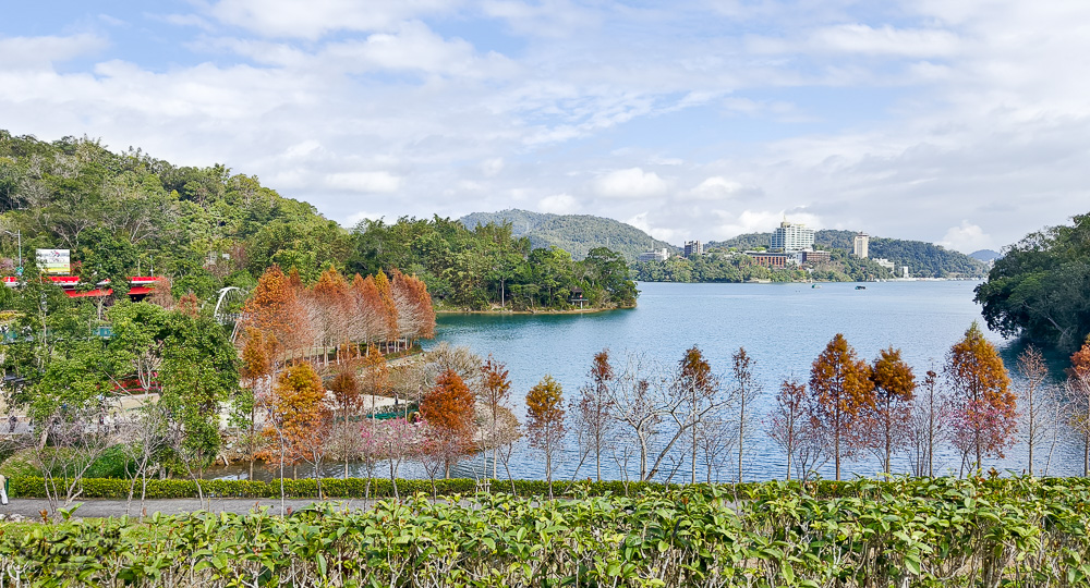 南投日月潭景點。向山落羽松｜向山懸臂式觀景台，日月潭自行車遊湖之旅 @緹雅瑪 美食旅遊趣