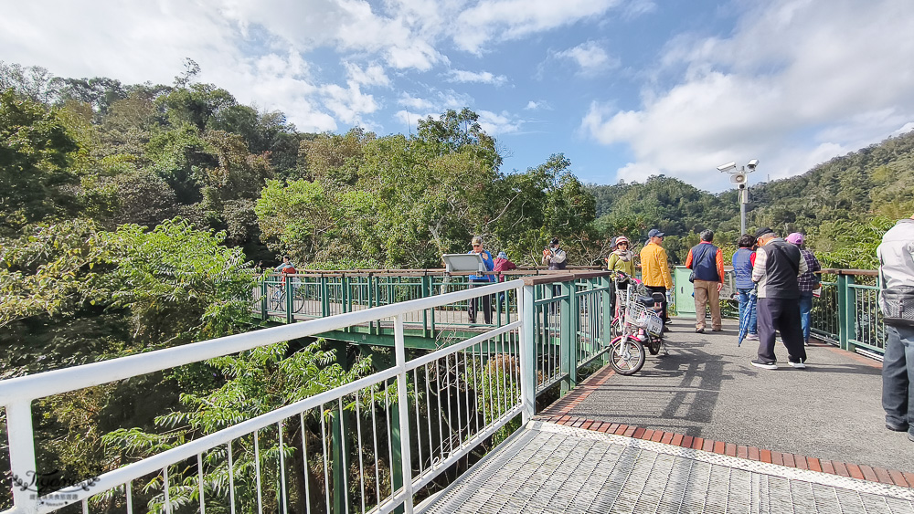 南投日月潭景點。向山落羽松｜向山懸臂式觀景台，日月潭自行車遊湖之旅 @緹雅瑪 美食旅遊趣