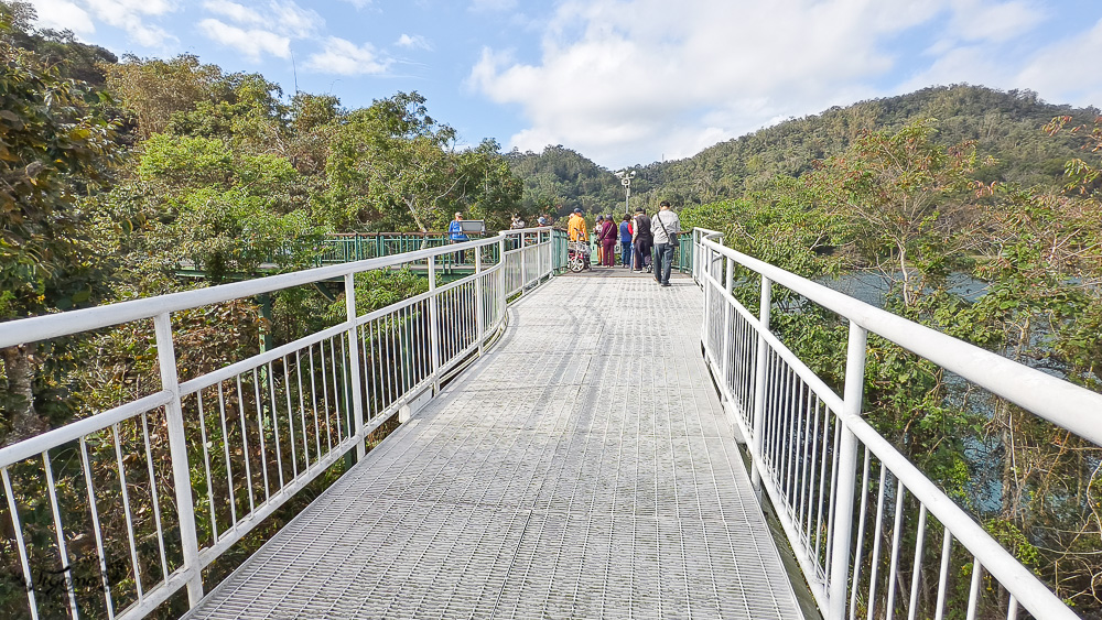 南投日月潭景點。向山落羽松｜向山懸臂式觀景台，日月潭自行車遊湖之旅 @緹雅瑪 美食旅遊趣