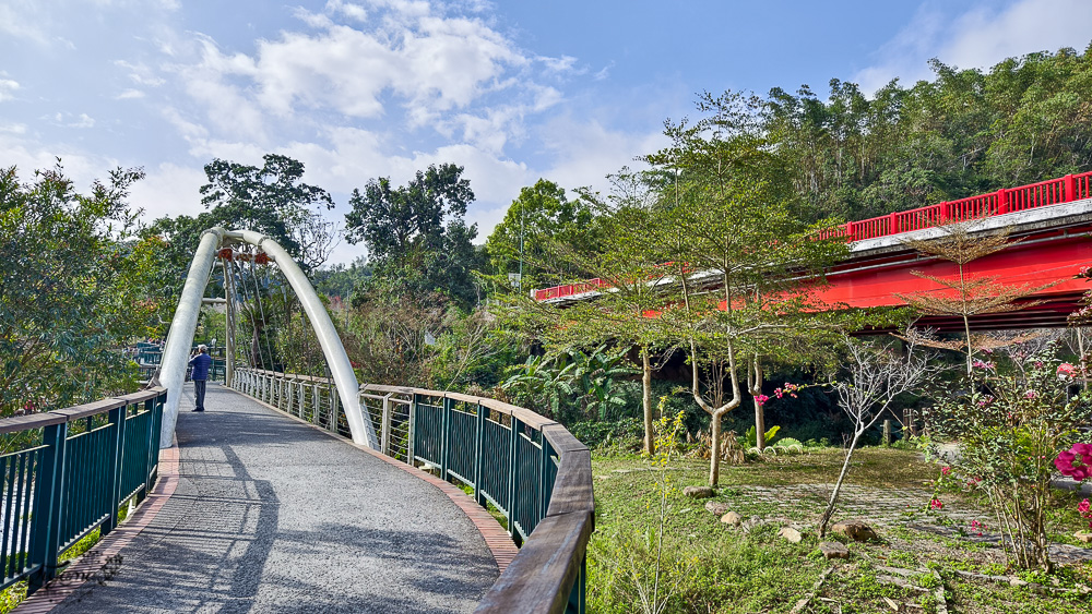 南投日月潭景點。向山落羽松｜向山懸臂式觀景台，日月潭自行車遊湖之旅 @緹雅瑪 美食旅遊趣