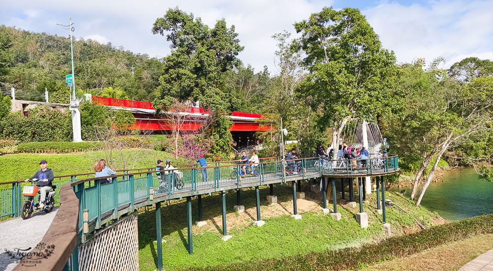 南投日月潭景點。向山落羽松｜向山懸臂式觀景台，日月潭自行車遊湖之旅 @緹雅瑪 美食旅遊趣