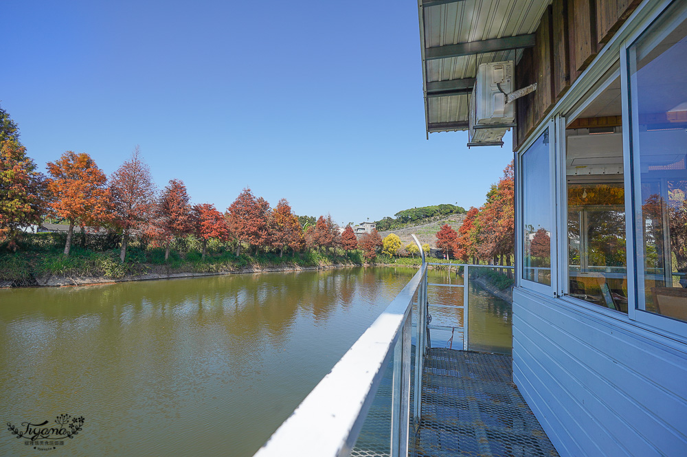 嘉義景點｜迷霧松境 落羽松秘境：免門票秘境落羽松景點，水上白色小屋 @緹雅瑪 美食旅遊趣