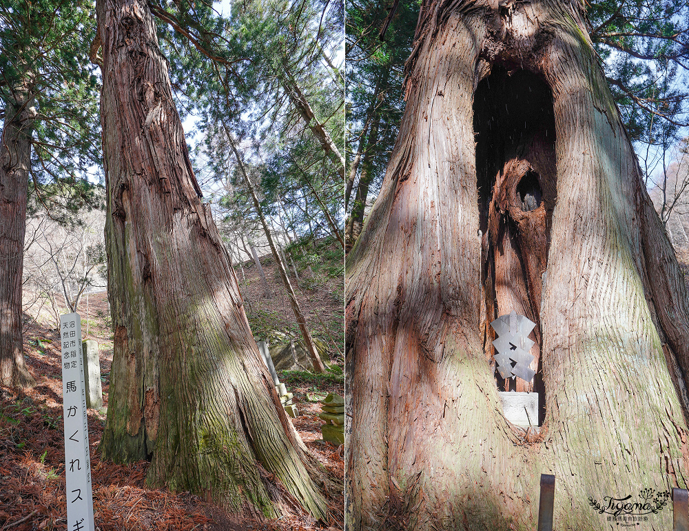 群馬沼田｜迦葉山龍華院彌勒寺：日本最大的天狗面具！參拜把天狗面具借回家，還願雙倍奉還天狗面具 @緹雅瑪 美食旅遊趣